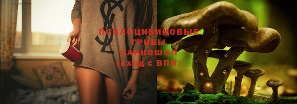 a pvp Дмитровск