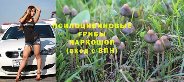 a pvp Дмитровск