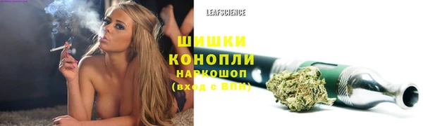 a pvp Дмитровск