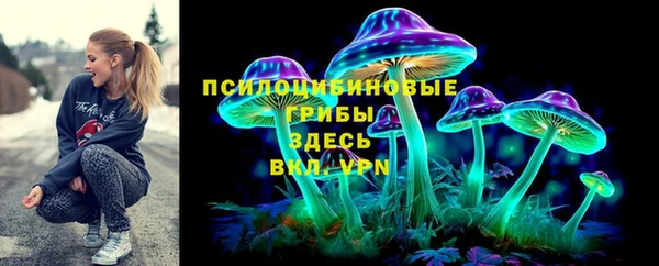прущий лед Дмитров
