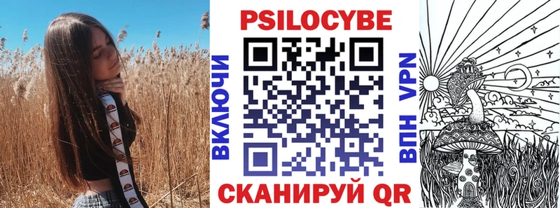 Купить закладки  Урюпинск  Псилоцибиновые грибы Magic Shrooms 